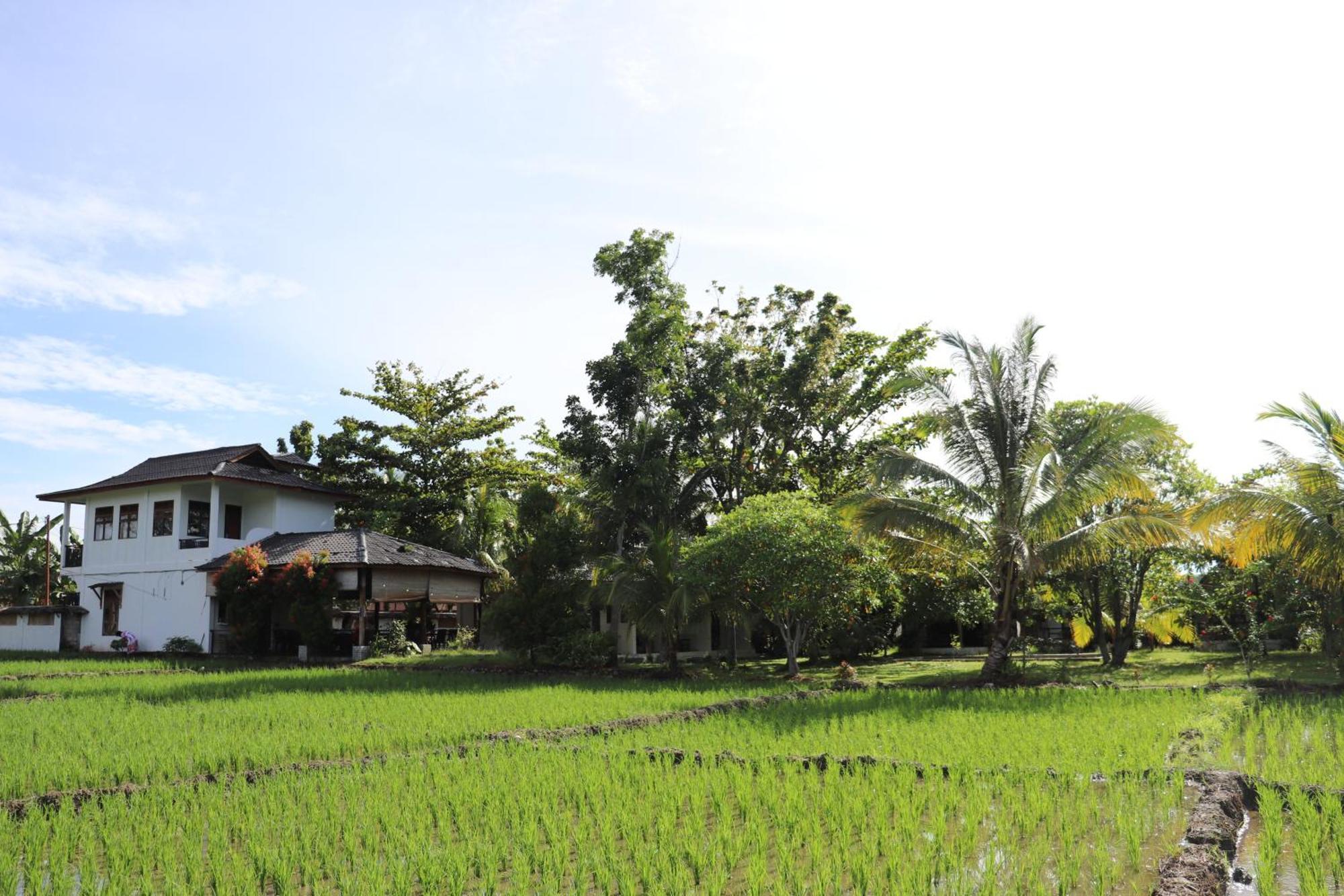Gino's Place - Bungalows&Restaurant Bukit Lawang Exterior foto