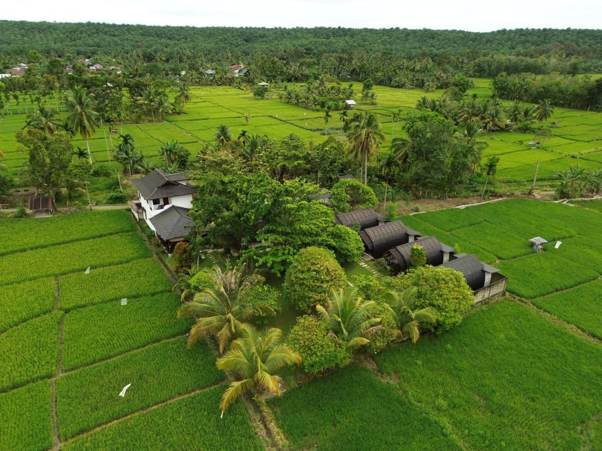 Gino's Place - Bungalows&Restaurant Bukit Lawang Exterior foto